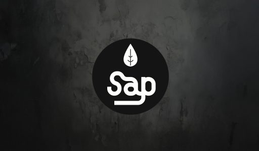 een sap logo voorbeeld met een donker achtergrond uit beton